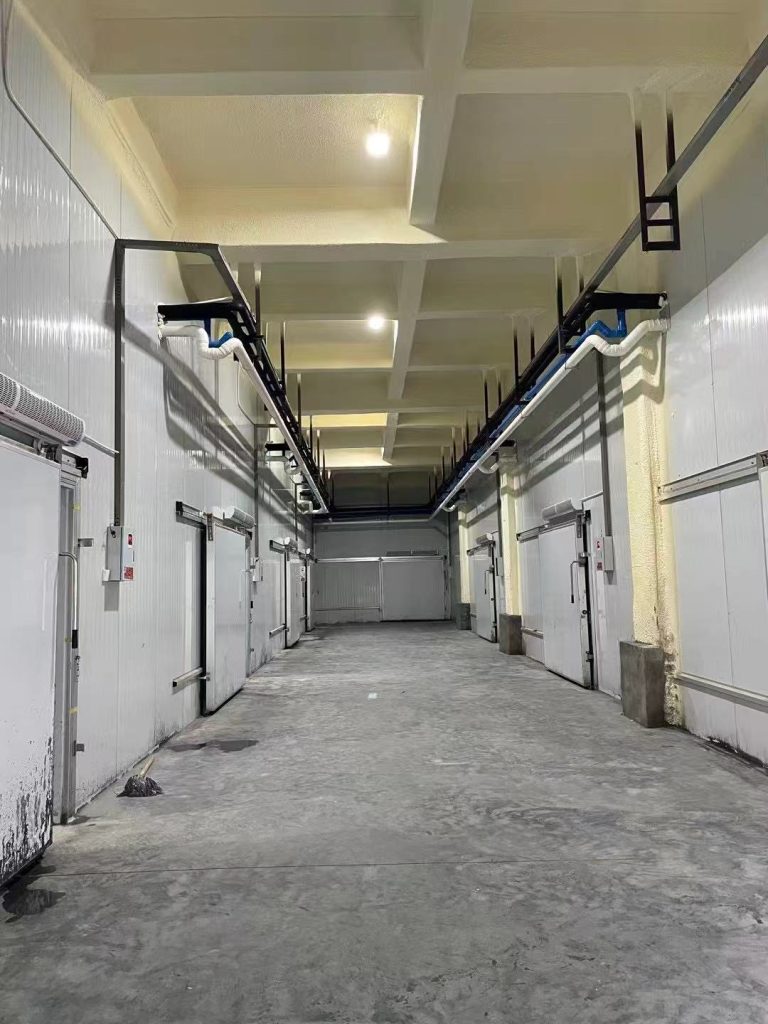 frozen cold room for meat and fish