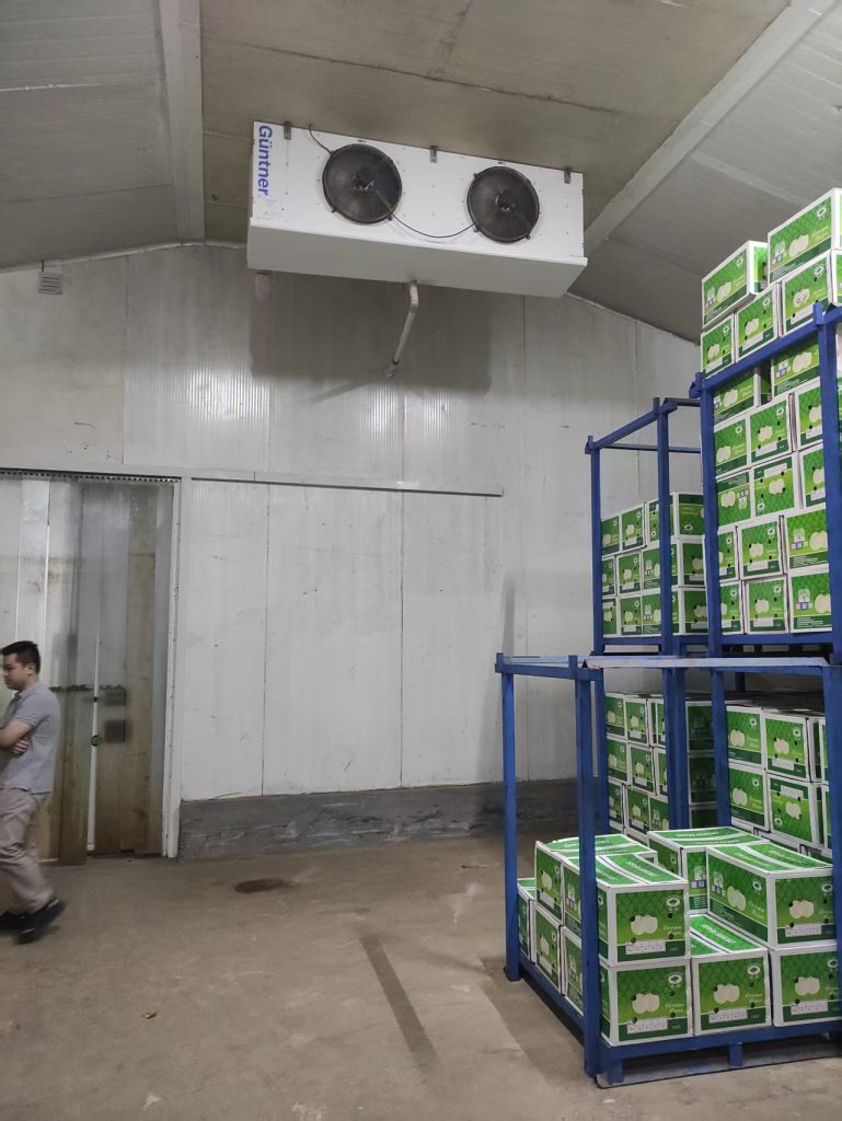Cold Room Warehouse Rent for Fresh Produce Businesses