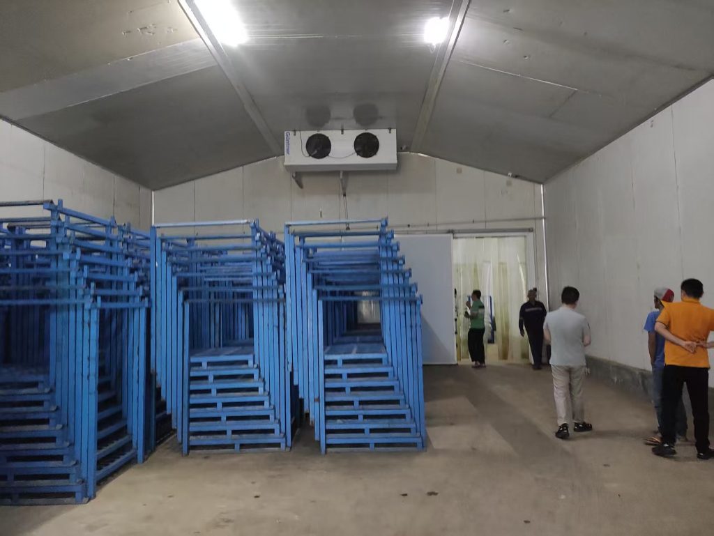 cold room warehouse rent