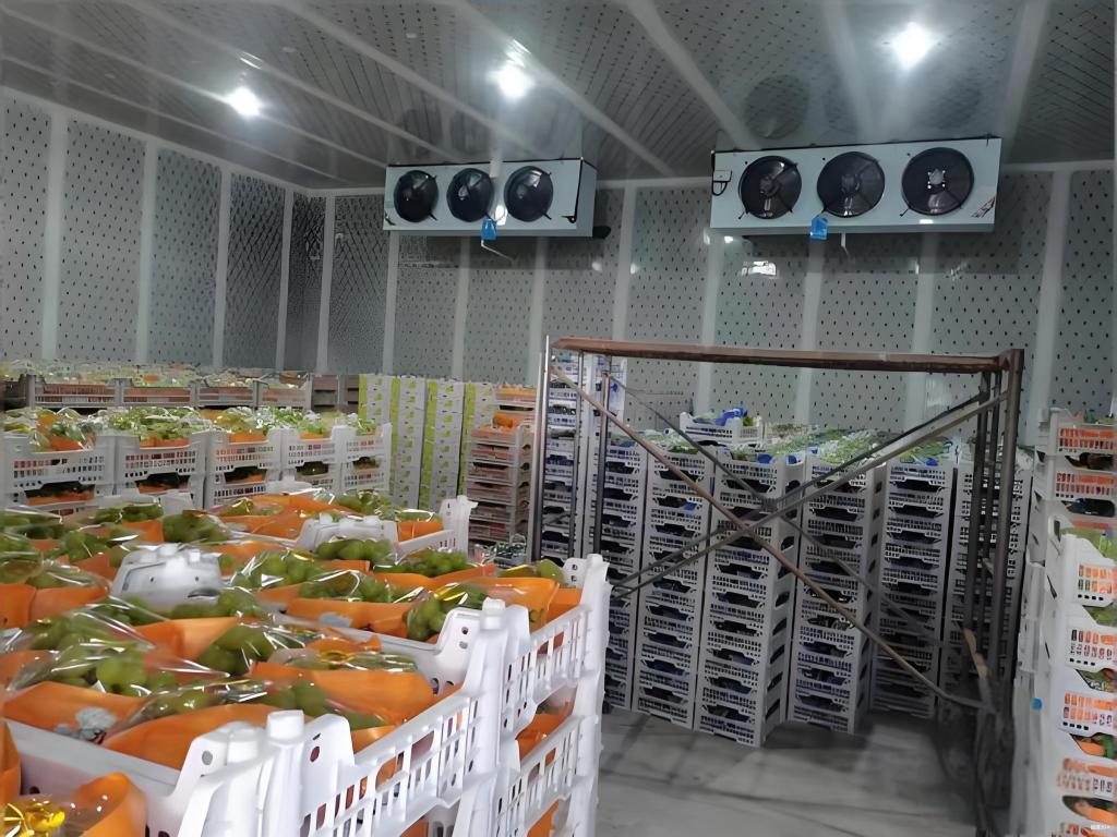 grapes cold storage