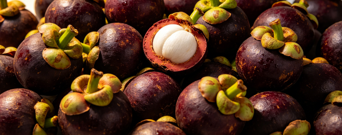 mangosteens cold storage
