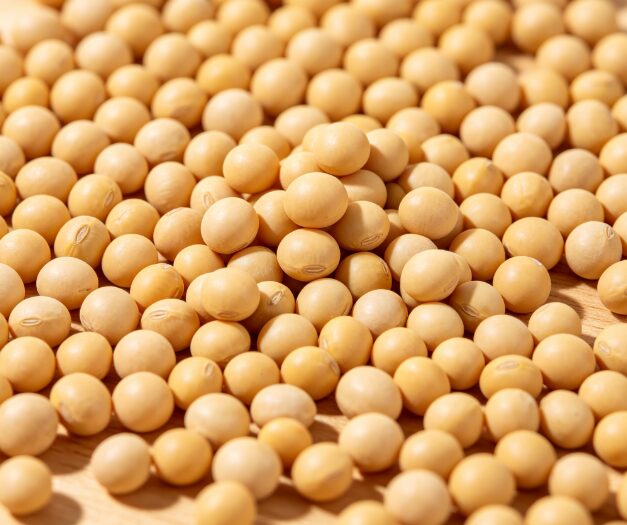 soybeans cold storage